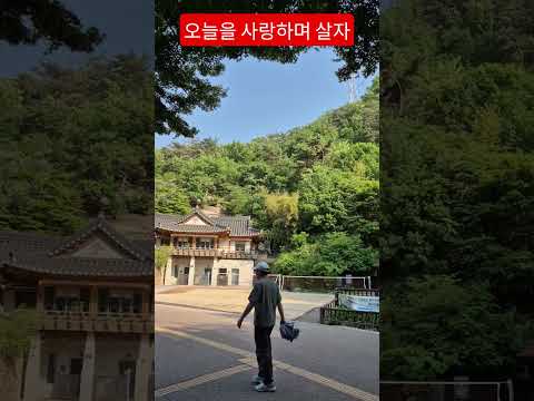 오늘을 사랑하면서 살면 ? 그게 행복인거죠 #오늘 #트로트 #차효린가수 #남산공원에서  #안중태tv #shorts thumbnail