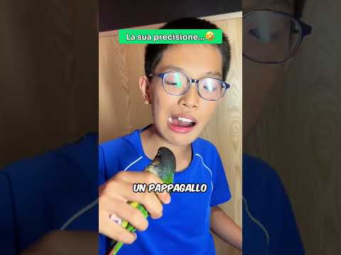 Usa un PAPPAGALLO per togliere i DENTI...🦷🦜 thumbnail