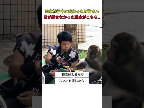日本旅行中に出会ったお猿さん目が離せなかった理由がこちら… #おすすめ #youtubeshorts #shorts thumbnail
