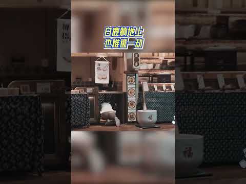 白鹿躺地上也难逃一劫 #奔跑吧 #奔跑吧14 thumbnail