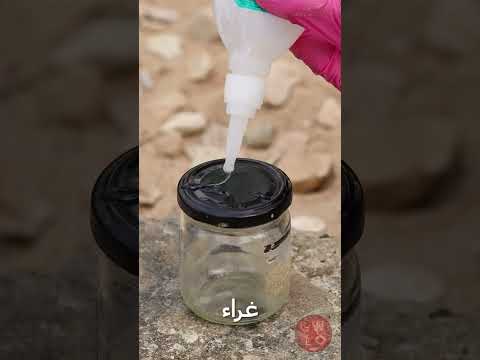 أسرار الخفاء: اكتشف الحيل المدهشة! 🏖️🕵️‍♂️ thumbnail