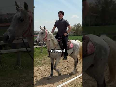 Atalarım Gibi At Sürüyorum thumbnail