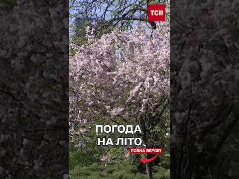 Прогноз погоди на перші дні червня та все літо: в Україну йде ТЕПЛО і СОНЦЕ! thumbnail