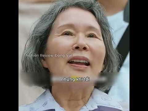 Cái bẫy của lòng tốt. thumbnail