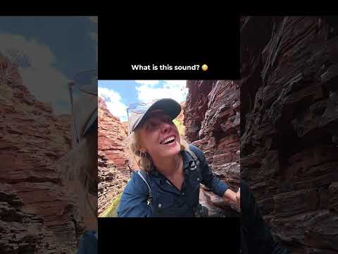 What is this sound? thumbnail