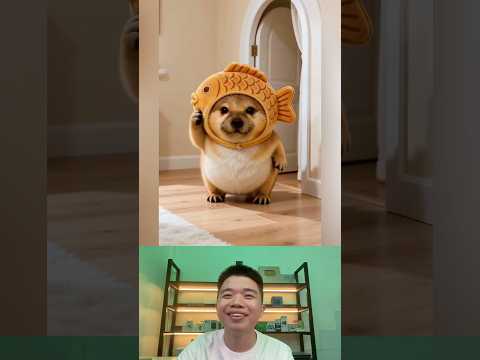 What The Dog Doing P203: Các Phiên Bản PiPi LaBu thumbnail