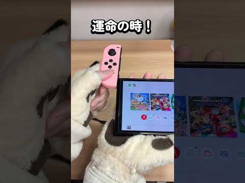 【スイッチ】このジョイコン本当に動くの？【Nintendo Switch】 thumbnail