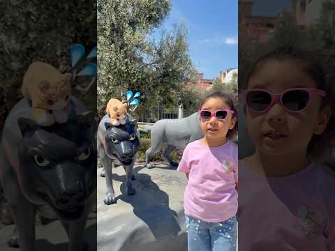 Eyvah kurtlar kediyi kaçırdı😂 #aboneolmayiunutmayin #keşfetbeniöneçıkar #kesfeteyyiz #funny #foryou thumbnail
