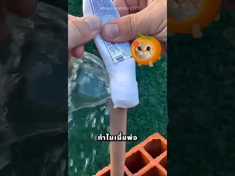พ่อเอายาสีฟันบีบใส่ท่อทำไม thumbnail
