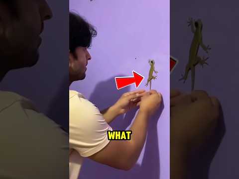 He Put a Camera on a Lizard and Found This ‼️😱 thumbnail