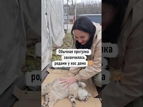 Обычная прогулка закончилась родами 🥰 thumbnail