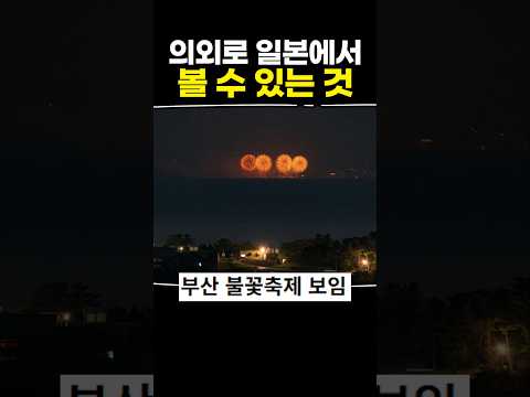 의외로 일본에서 볼 수 있는 것 thumbnail