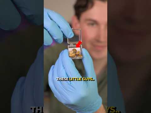 I Tested What Makes Jumping Beans Move ? thumbnail