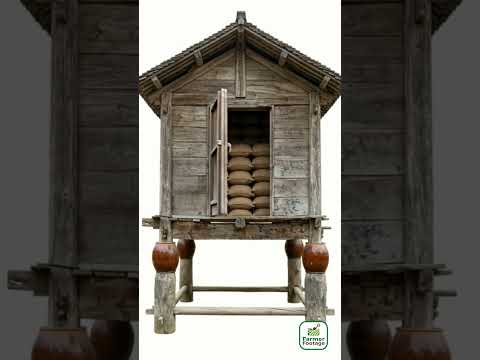 Rat Prevention in Rural Granaries thumbnail