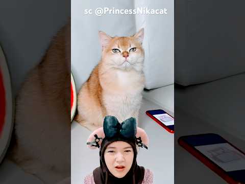 tv baruu‼️PrincessNikacat thumbnail
