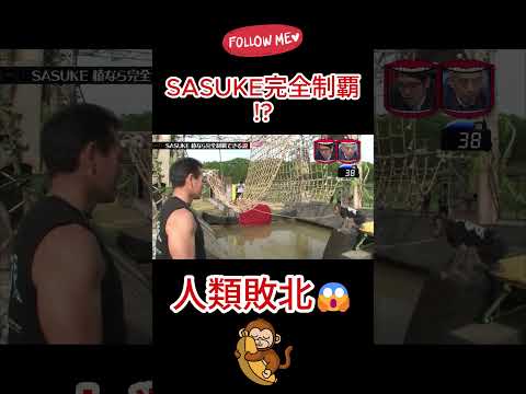 猿、SASUKE余裕すぎて草ww🐒#水曜日のダウンタウン thumbnail
