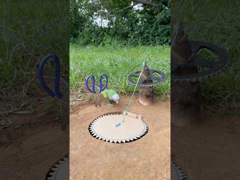 Trap Post - Amazing Creativity Parrot Trap thumbnail