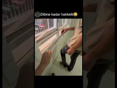 tutmuştu ama adam @zekeriya_akml01? thumbnail