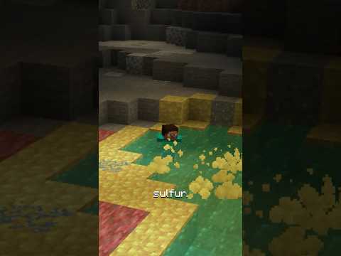 NEW CAVE BIOME ALERT! thumbnail