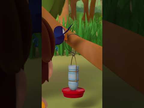 DON'T BLINK OR YOU'LL MISS THIS BIRD! | Leo the Wildlife Ranger #shorts thumbnail
