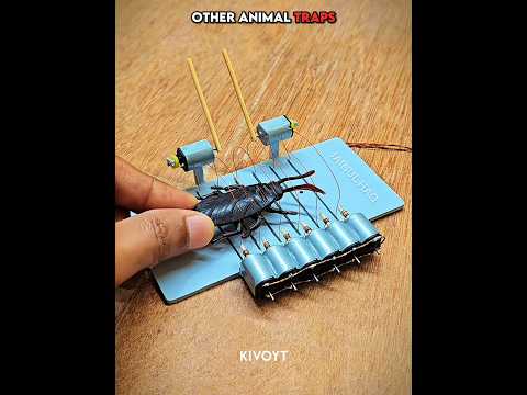 Other animal traps vs Pig Traps 💀 #edit #animal #skulledit #usa thumbnail