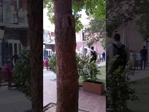 universite nebrija campus madrid 1 thumbnail