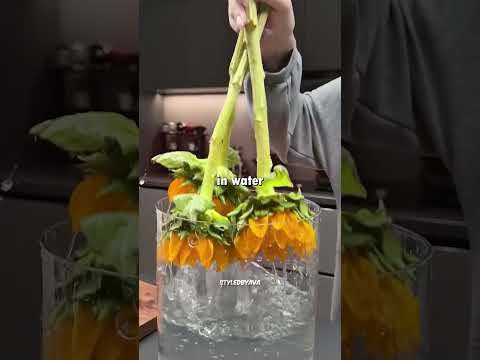 How to Revive Dead Flowers 🌸✨ Easy Flower Hacks That Actually Work! thumbnail