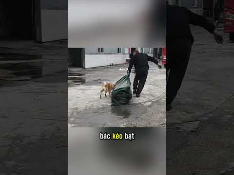 Xem xong mới hiểu vì sao mẹ hay so sánh | Anh Dâu Hứa thumbnail