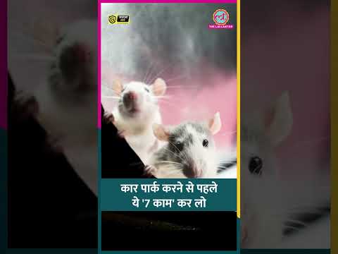 7 दिन से ज्यादा कार पार्क करने से पहले ये '7 काम' कर लो #car #shorts thumbnail
