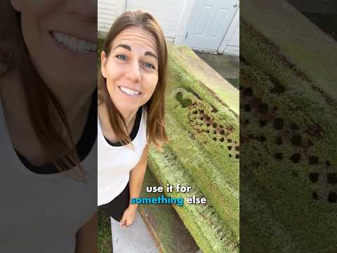 I Played Golf on my Chia Pet Piano thumbnail