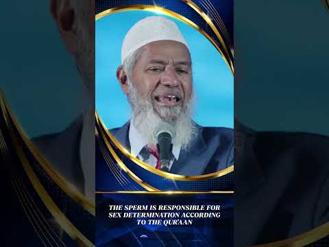Islam does not Decree that Disbelievers should be Killed - Dr Zakir Naik thumbnail