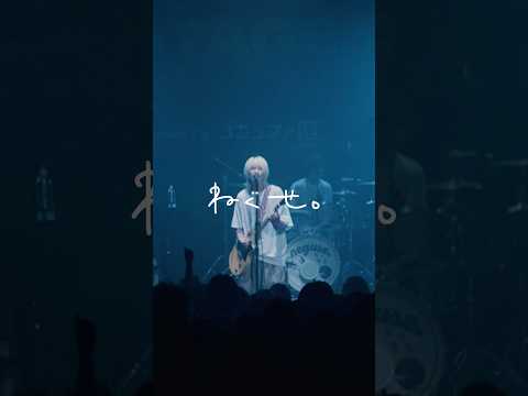 ねぐせ。「青春バイブレーション」配信中⚡6月28日(日)には横浜アリーナにてねぐせ。ONEMAN LIVE 「愛問愛答」を開催? @neguse__official #青春 #青春ソング thumbnail