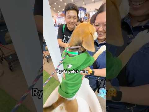 RYUKI KETEMU ONTY UNCLE DI PET EXPO‼️ RAME BANGET😍 #shorts #anjinglucu thumbnail
