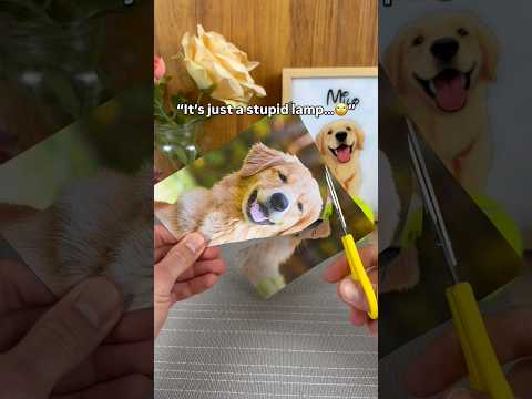 The cutest gift for dog lovers ??#pets #dogs #dogsoftiktok #dogloss #giftsideas thumbnail