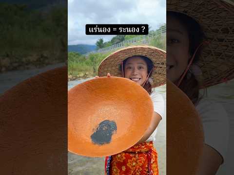 แร่นอง=ระนอง! จริงมั๊ย? #ลองดู #ร่อนแร่ดีบุก #หมูหมีจัดให้ #วิถีชีวิต #ระนอง #บ้านหงาว thumbnail