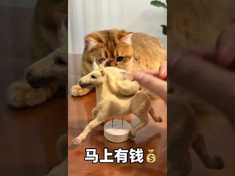 Majikan bikin boneka kuda dari bulu kucing ? thumbnail
