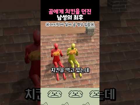 곰에게 치킨을 던져서 난리가 난 사건 thumbnail