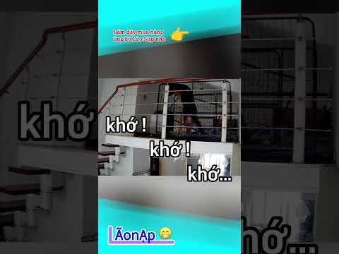 Vắng chủ nhà bà đi 2 chân 🤣 #laonap thumbnail