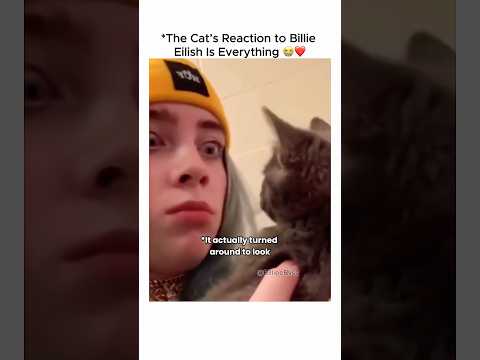 The Moment the Cat Realised It Was Being Held by Beautiful Billie ??✨ #BillieEilish thumbnail