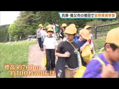 標高約700mの斜面に約100枚の棚田…児童たちが自然を観察　兵庫・養父市立の小中一貫校で環境を学ぶ学習会（2026年5月13日） thumbnail