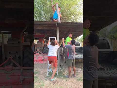 เจ้าสิมาระแวงหยังอ้ายสิเอาไม้มาตีสังกะสีสื่อสื่อดอก #funny #comedy #ขึ้นหน้าฟีด thumbnail