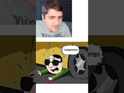 Мем про собаку поводыря thumbnail