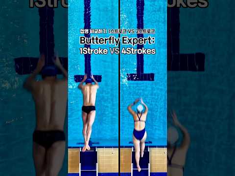 Why This Got 20M Views 🦋 1 Stroke Butterfly (NO Dolphin Kick) | 누적 2천만뷰 접영 #수영 #접영 #swim #butterfly thumbnail