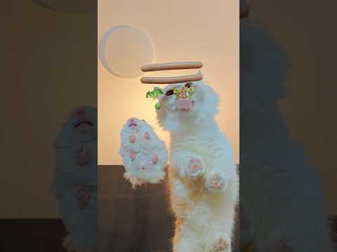 Kedi ve Hamster yemek yarışı ?cat videos?mouse?Tom&Jerry? catlovers?funny videos?cute ❤️ thumbnail