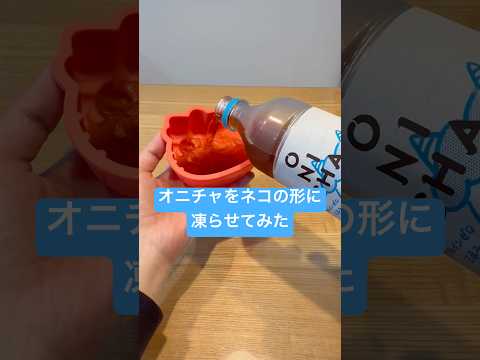 オニチャをネコの形に凍らせてみた #shorts #おもしろ動画 #onicha thumbnail