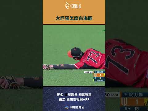 #CPBL 大巨蛋怎麼會有海豚 #陳聖平 美技飛撲沒收 #張志豪 的強勁擊球#中信兄弟 #統一獅 #中華職棒 #shorts thumbnail