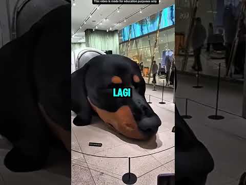 ANJING PENJAGA MALL⁉️ thumbnail