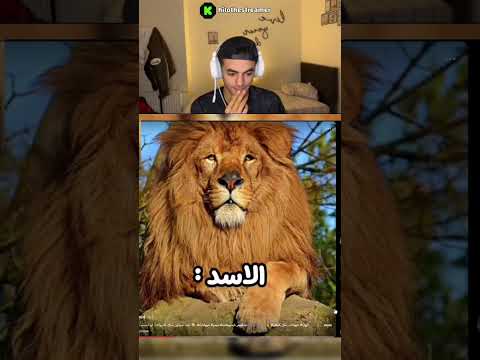 كيف سيكون شكل الحيوانات اذا تطورت واصبحت بشر thumbnail
