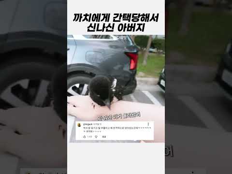 까치에게 간택당해서 신나신 아버지 thumbnail