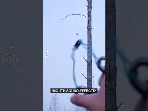 More Arborist Adventures thumbnail